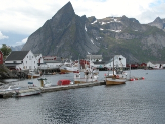 Lofoten, haven. noorwegen